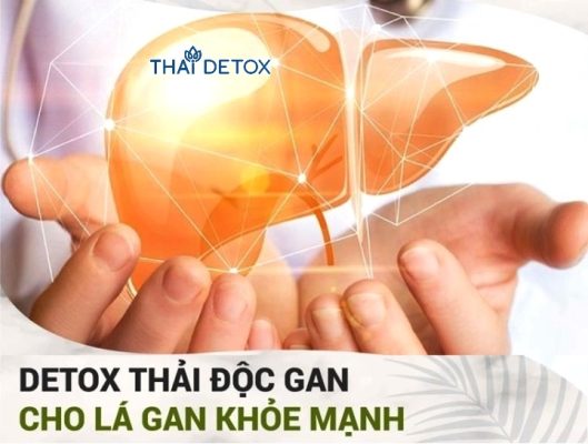 detox-gan-2h-1a
